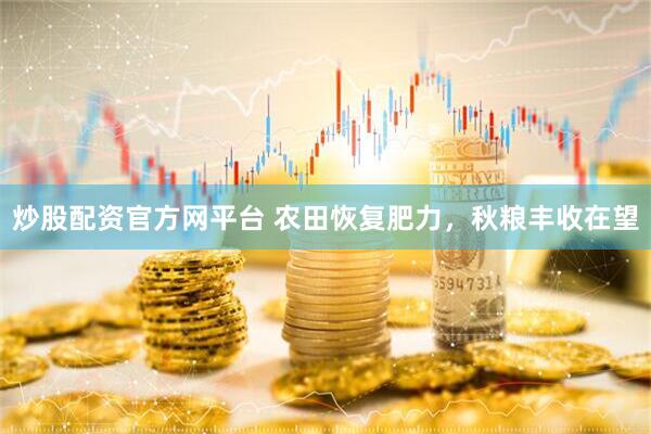 炒股配资官方网平台 农田恢复肥力，秋粮丰收在望